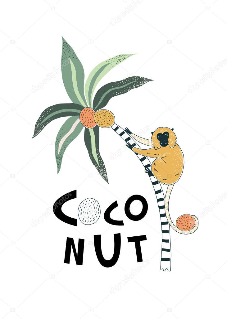 Orange monkey on stripy coconuts palm