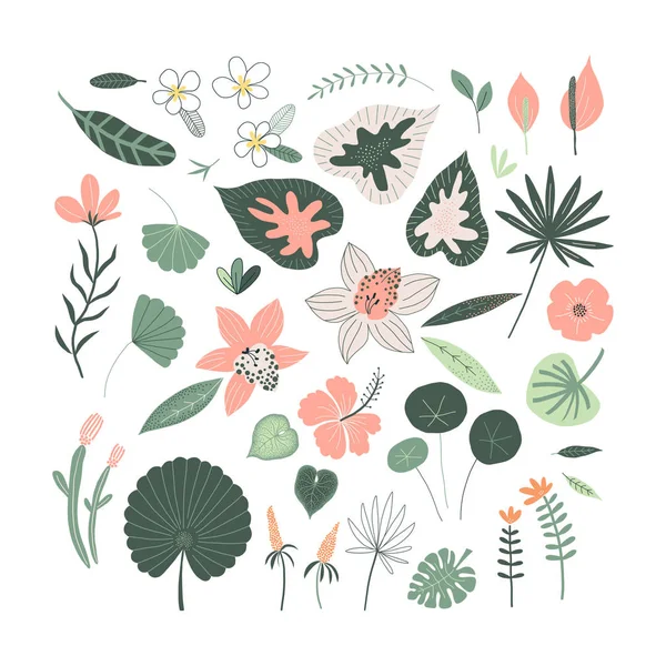 Set di disegni esotici di piante tropicali e fiori — Vettoriale Stock