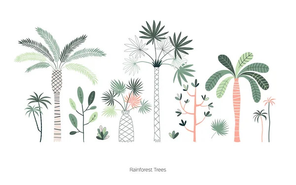 Conjunto de ilustrações desenhadas à mão de árvores da floresta tropical — Vetor de Stock