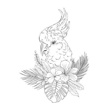 Çiçekler el çizilmiş kroki beyaz macaw
