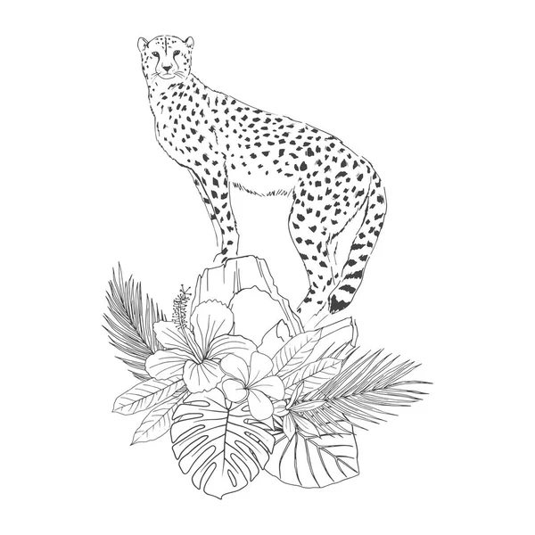 Leopardo sobre rocas boceto dibujado a mano — Vector de stock