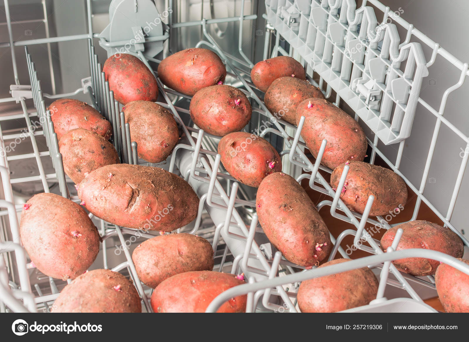 Dirty Potatoes Lie In The Dishwasher Stock Photo Image By C Tagwaran 257219306