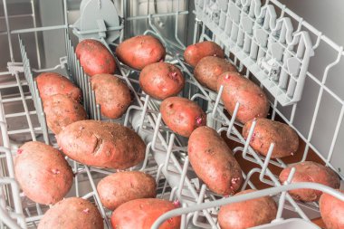 Dirty potatoes lie in the dishwasher clipart