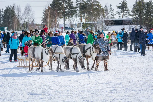 Russkinskaya, Russie - 24 mars 2018 : Un Sibérien vêtu de vêtements nationaux nordiques avec des rennes se prépare pour la course. Compétitions pour monter un cerf. Vacances de l'éleveur de rennes . — Photo