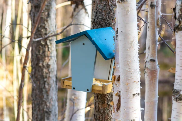 Alimentador Bonito Para Pássaros Esquilos Floresta — Fotografia de Stock