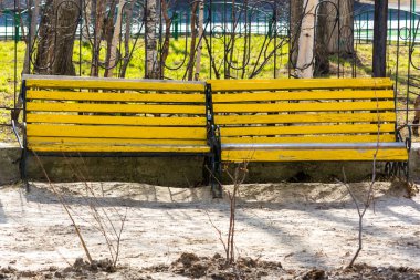 Parkta iki sarı bank.