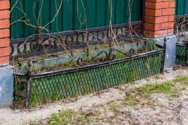 Renkler için çiçek yatağı açık