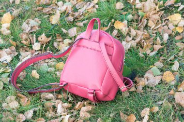 Sonbahar gününde düşen sarı yaprakları ile yeşil çim üzerinde sapı ve uzun kayışları ile Okul kırmızı sırt çantası.