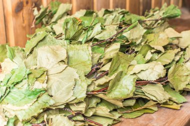 Banyoda bir bankta yeşil huş süpürgesi