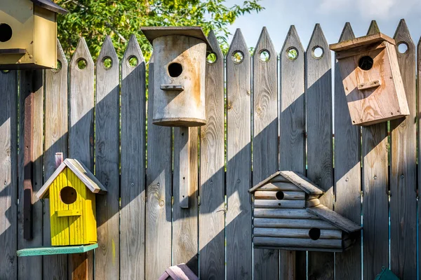 鳥やリスのための木製フィーダー — ストック写真