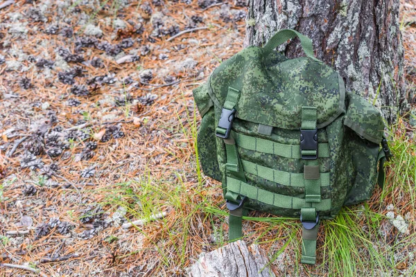 Green hiking backpack lies on wooden dry log on edge of forest with pine cones.