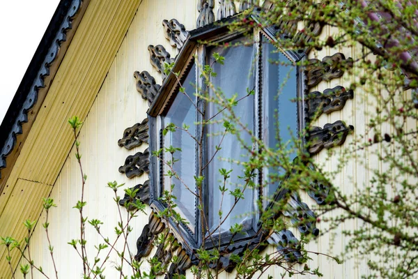 Beautiful Window Garden Home — Stock Photo, Image