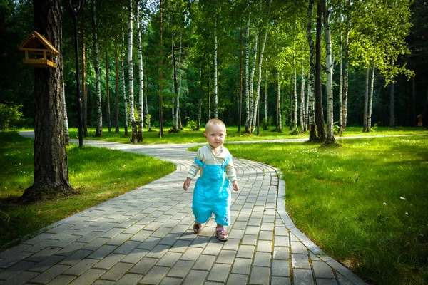 Красива дитина в костюмі йде через алею в парку — стокове фото