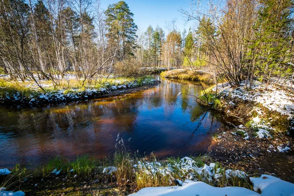 Las Zima Płynie Rzeka Leży Uderza Brzegów Syberyjskiej Taiga — Zdjęcie stockowe