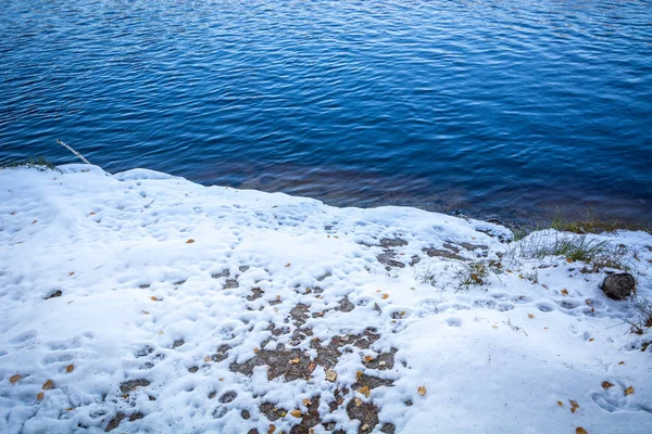 Rio Floresta Costa Neve Taiga Siberiana — Fotografia de Stock