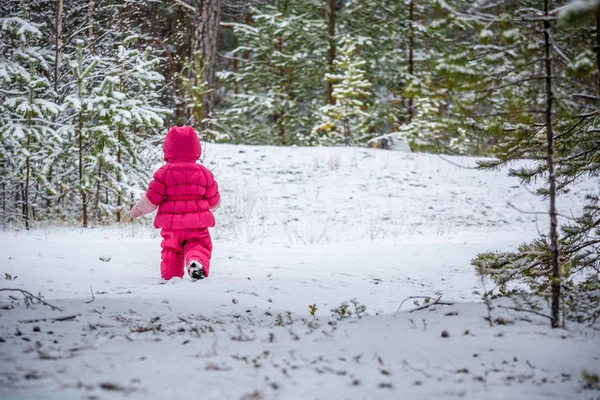 子供は冬の森の中を歩いて — ストック写真