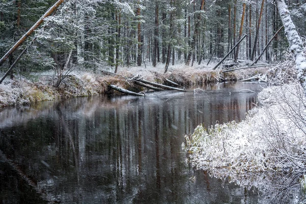 Rio Fluxo Inverno Floresta Encontra Atinge Margens Taiga Siberiana — Fotografia de Stock