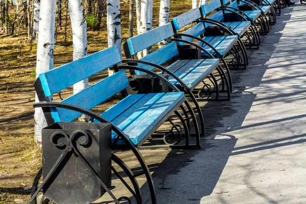 Ett Antal Vackra Blå Bänkar Nöjesparken — Stockfoto