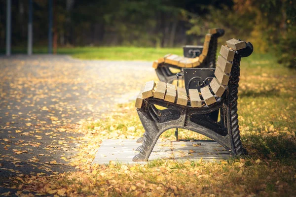 Απλά παγκάκια για ανάπαυση που βρίσκονται στο πάρκο με τα κίτρινα φύλλα το φθινόπωρο ηλιόλουστη μέρα. — Φωτογραφία Αρχείου