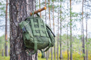 Sırt çantası gündüz ağaçların arasında yaz ormanuzun uzun çam ağacının dalları asılı yürüyüş için.