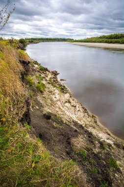 Sibirya 'da Taiga Nehri.