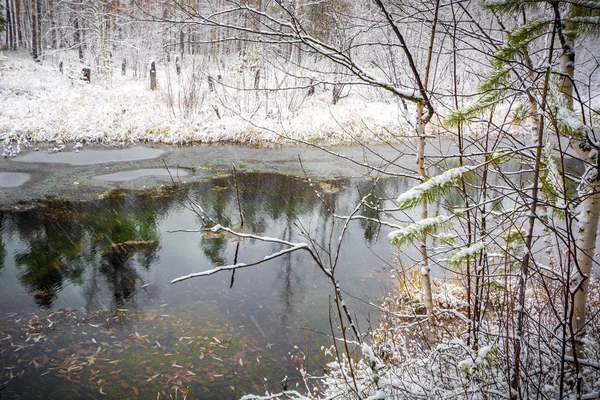 Rio Fluxo Inverno Floresta Encontra Atinge Margens Taiga Siberiana — Fotografia de Stock