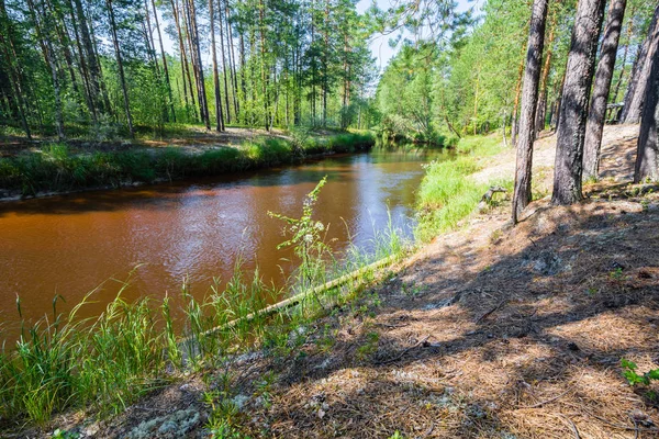 Rode rivier stroomt langs vlakke kust in de noordelijke taiga van hout. — Stockfoto