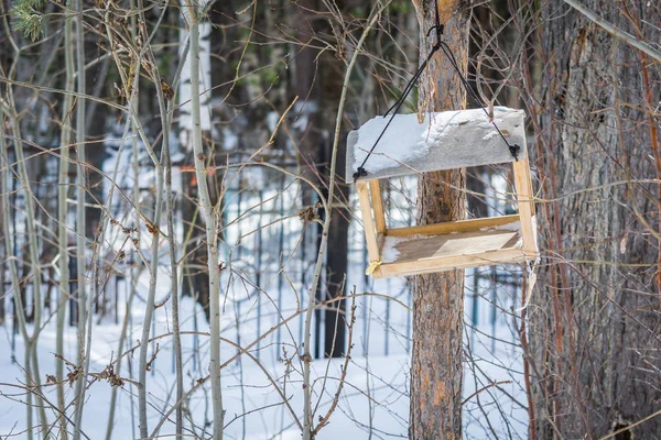 冬の森の木の近くにロープにぶら下がっている鳥やリスを養うために屋根に雪とオープンフィーダー. — ストック写真