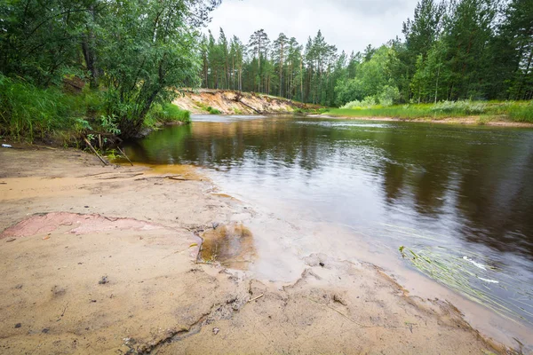 Costa sabbiosa bagnata con fiume che scorre in taiga invalicabile di legno . — Foto Stock
