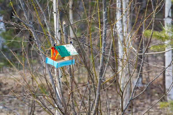 木にぶら下がっているリスのためのカラフルなフィーダー — ストック写真