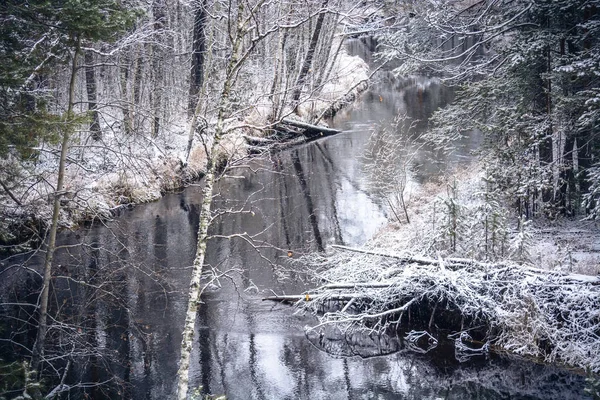 Der Waldwinterfluss Liegt Und Trifft Die Ufer Der Sibirischen Taiga — Stockfoto