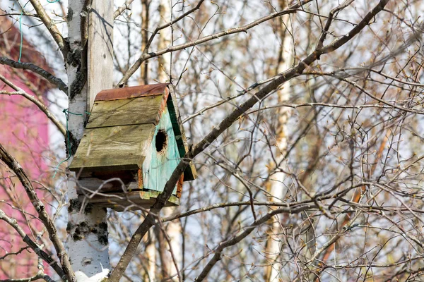 Mooie Vogel Feeder Opknoping Boom Park — Stockfoto