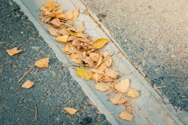 Herbst trockenes Laub fällt von den Bäumen liegen Abflussrinne für Wasser. — Stockfoto