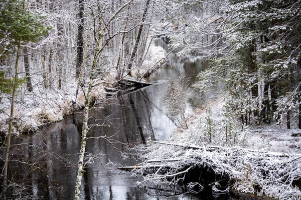 Rio Fluxo Inverno Floresta Encontra Atinge Margens Taiga Siberiana — Fotografia de Stock