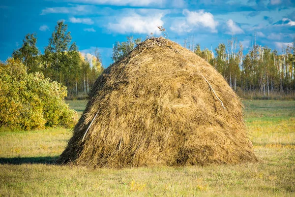 Vacker Höstack Ett Fält Byn — Stockfoto