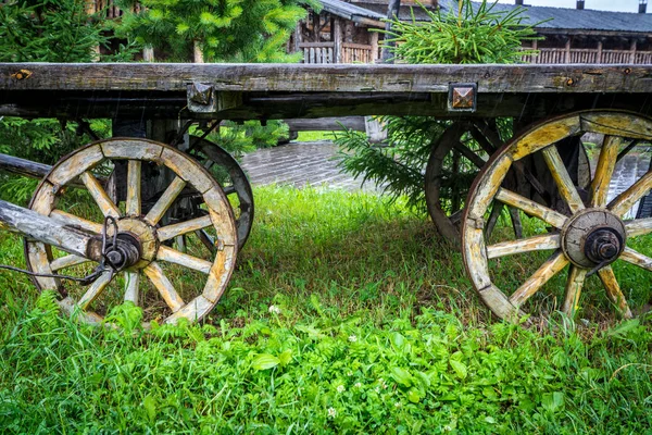 Wooden Old Wagon Wheels Horse — 스톡 사진