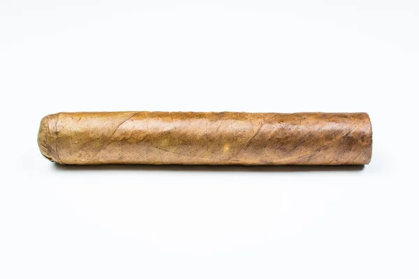 Expensive thick cigar from twisted sheets on white background. — Stock Photo, Image