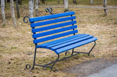Park'ta oturmak için mavi bank.