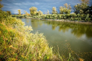 Sibirya 'da Taiga Nehri.