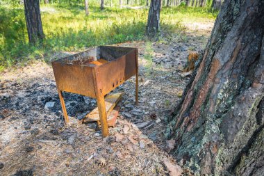 Ormanda çam ağacı yakınında Paslı barbekü ızgara