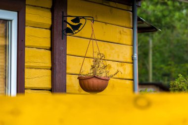 Renkler için çiçek yatağı açık