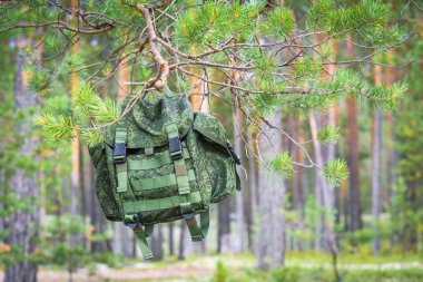 Spor için küçük bir yürüyüş sırt çantası yeşil orman boynuz arka plana karşı çam ağacı şube asılı