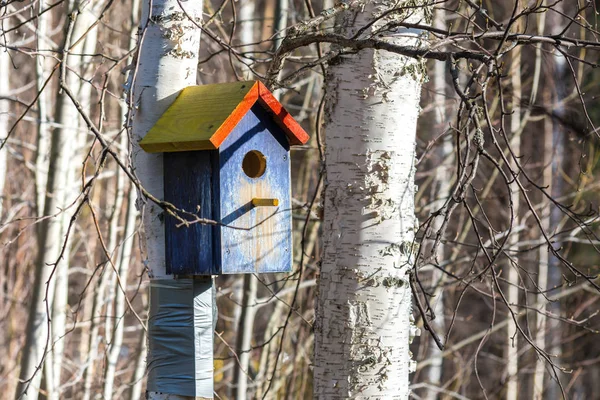 Mooie Houten Vogel Feeder Park — Stockfoto