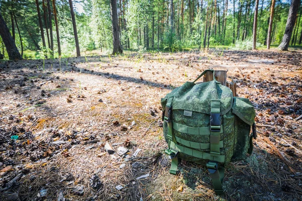 Green backpack for hiking is lying on forest clearing and dry grass in coniferous forest