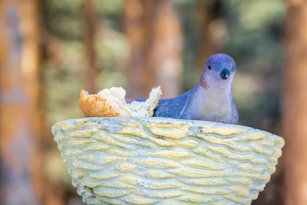 Pomba pintada de madeira em casa de campo com pedaço de pão branco na floresta de primavera . — Fotografia de Stock