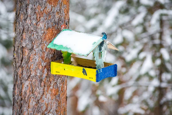 Mooie Feeder Voor Vogels Eekhoorns Opknoping Boom Winter Bos — Stockfoto