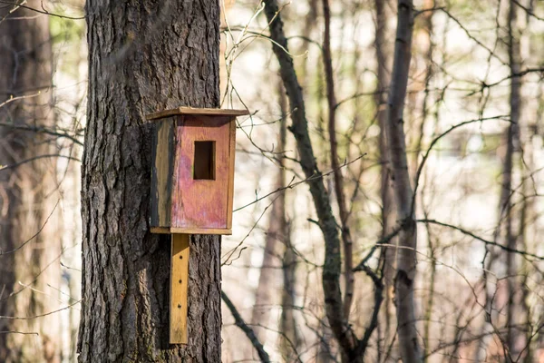 公園の美しい木製の鳥フィーダー — ストック写真