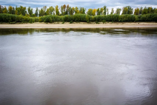 Тайга Сибіру — стокове фото