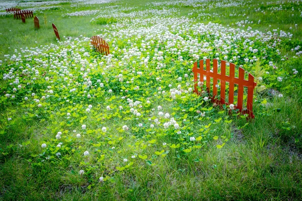 Piękny Drewniany Płot Łące Kwiatami — Zdjęcie stockowe