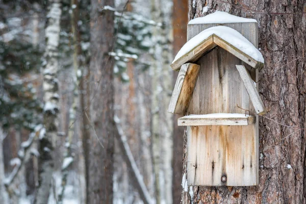 冬の森の中に木にぶら下がっ鳥やリスのための美しいフィーダー — ストック写真